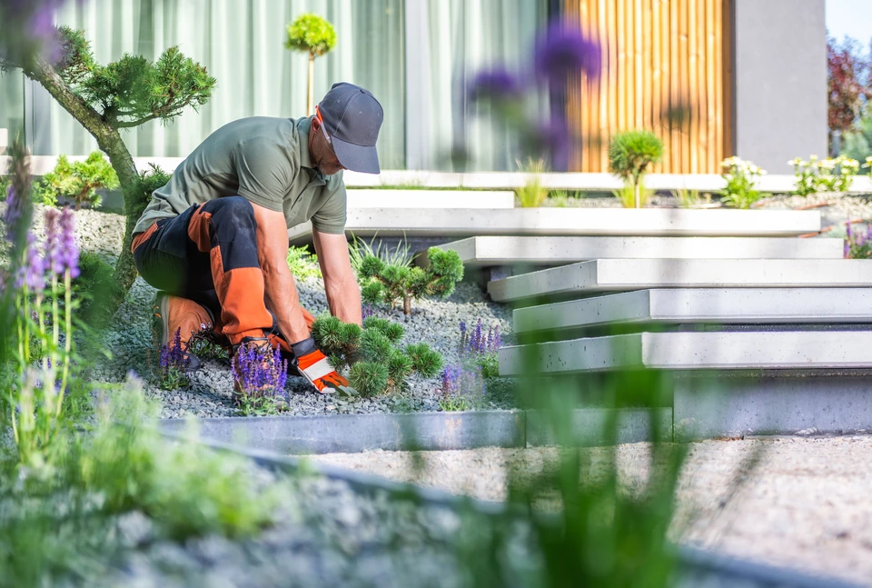 jardinier en uniforme découpe des buissons, afro-américain en lunettes et écouteurs travaille dans le jardin avec des outils électriques de jardin, élagage des arbres et des buissons